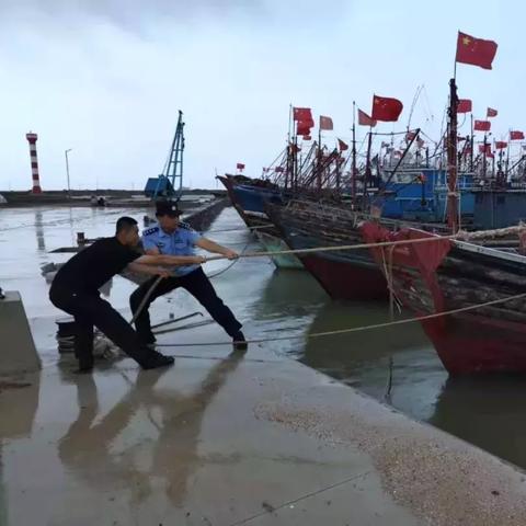 台风最新报道，风雨中的守护与应对