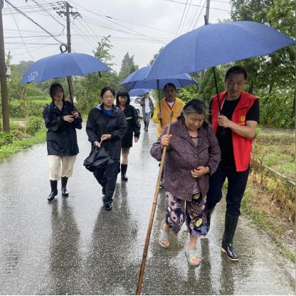 台风最新消息浙江，风雨中的守望与行动