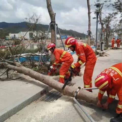 东莞台风最新消息，风雨中的守护与应对