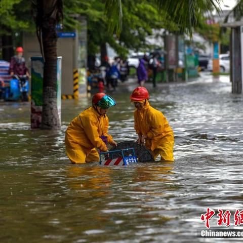 最新热带低压，气象新动态与影响分析