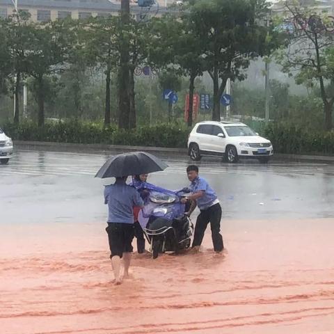 最新台风名字及其影响分析