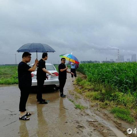 台风4号最新消息，风雨中的守护与应对