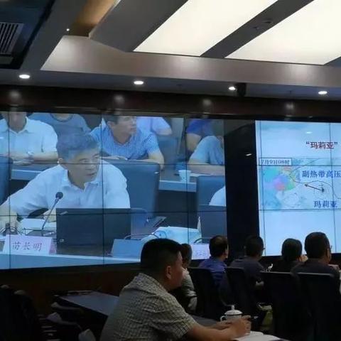 最新台风气象，深度解析与应对策略