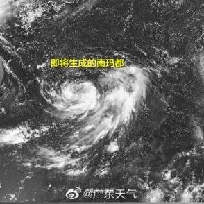 梅州台风最新消息，风雨中的守护与应对