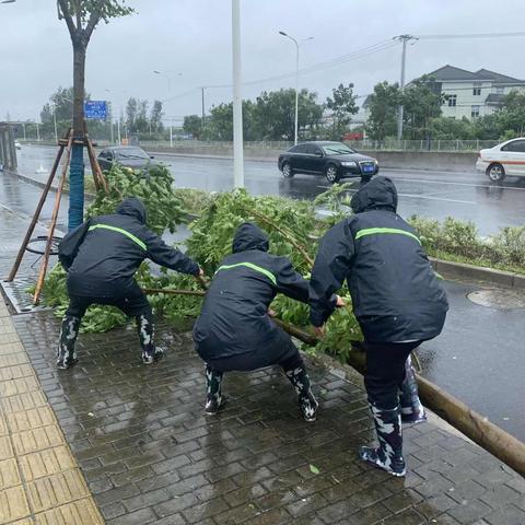 24号台风最新消息，风雨兼程，密切关注