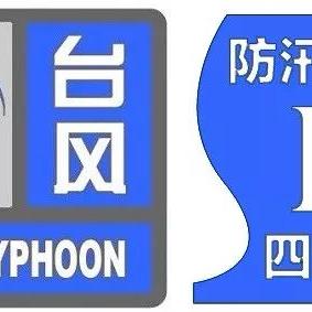 中央气象台台风网最新动态与防台指南