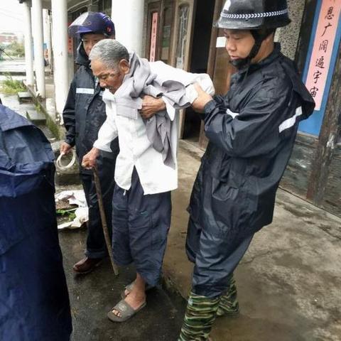 苍南18号台风最新消息追踪与深度分析