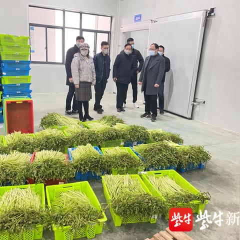 苏州工地防疫最新通告|市场需求分析与预测