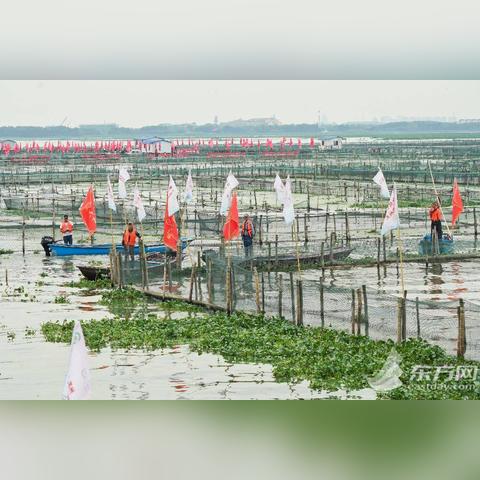 苏州阳澄湖最新疫情情况|起源及其发展背景