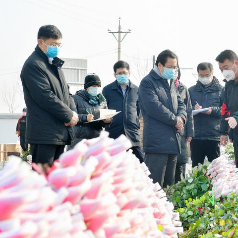 苏州顺丰疫情消息最新|相关词汇与术语介绍